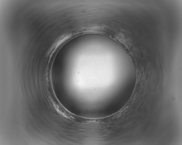 X0000078880050200611131253