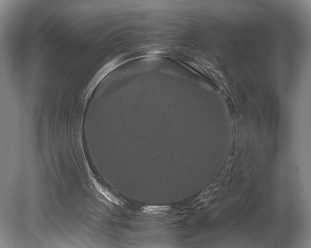 X0000078880051200611131253