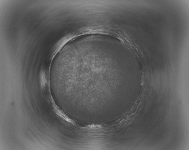 X0000078880052200611131253