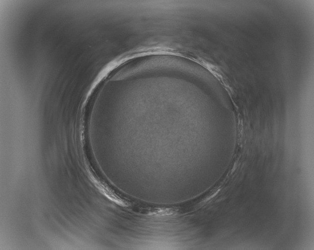 X0000078880056200611131253