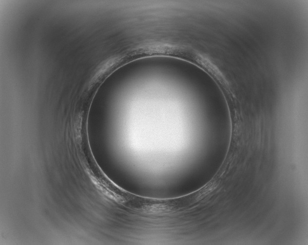 X0000078880058200611131253