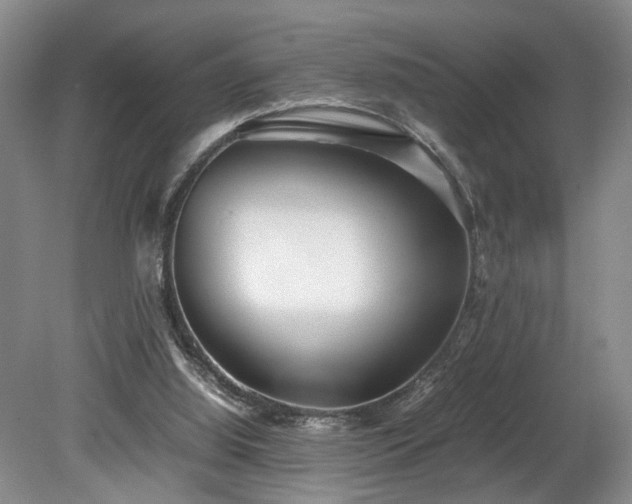 X0000078880060200611131253