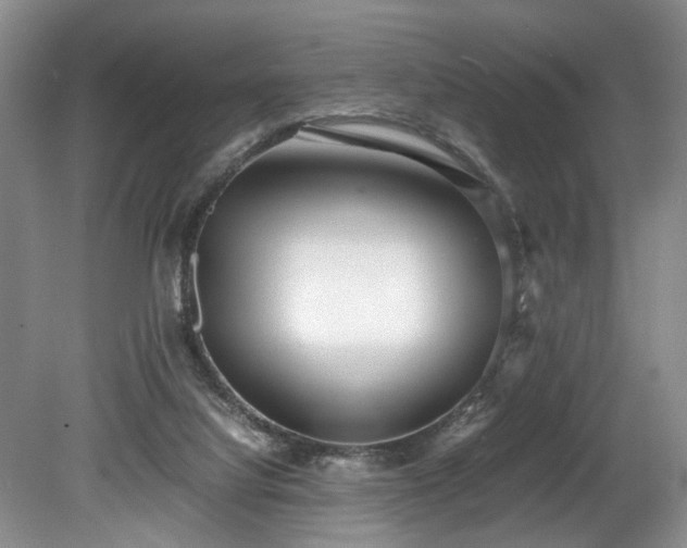 X0000078880068200611131253