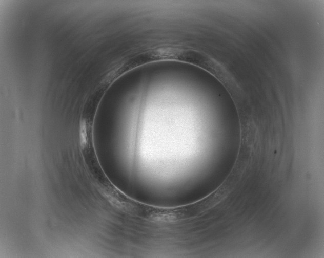 X0000078880075200611131254