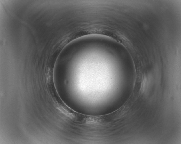 X0000078880077200611131254
