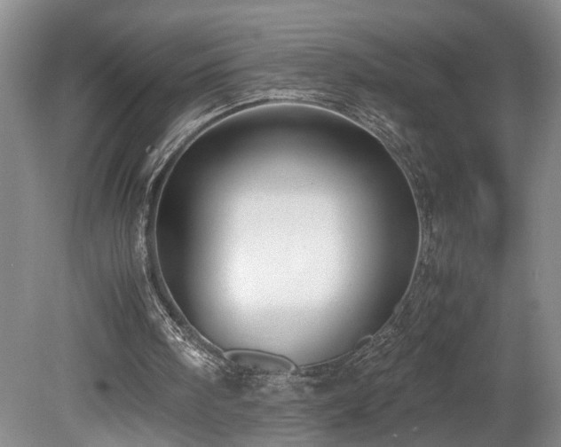 X0000078880098200611131253