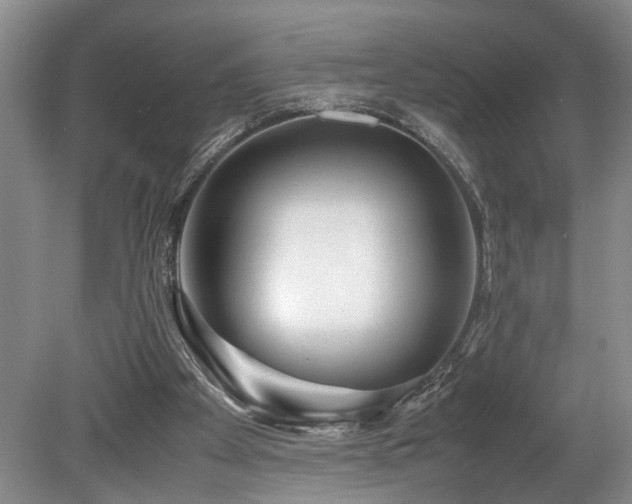 X0000078880105200611131253