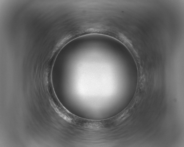 X0000078880106200611131253