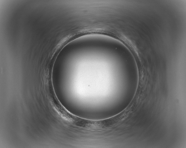 X0000078880107200611131253