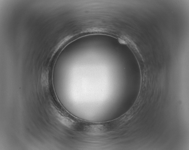 X0000078880108200611131253