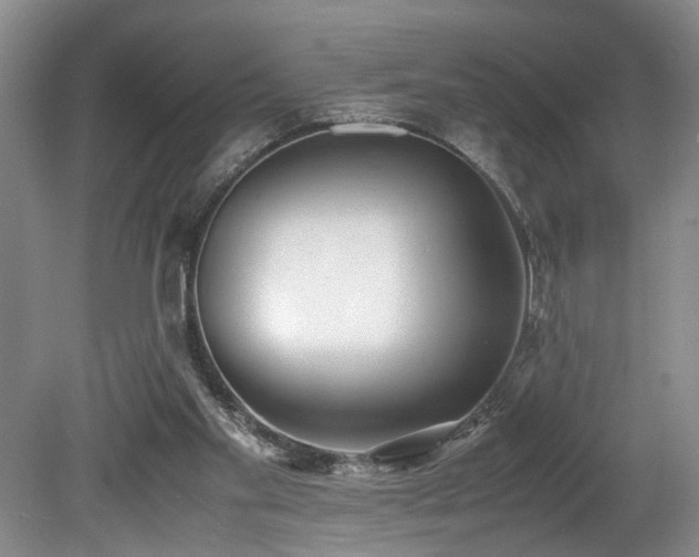 X0000078880109200611131253