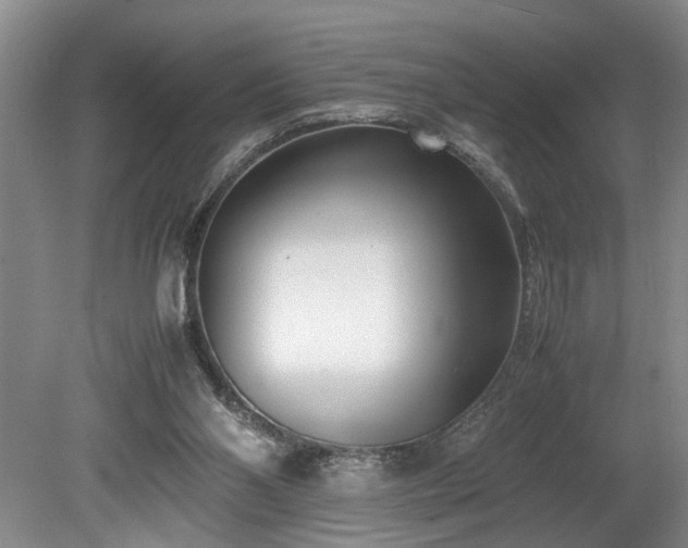 X0000078880110200611131253