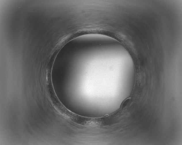 X0000078880115200611131253
