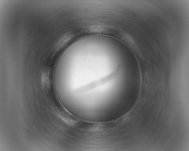 X0000078880116200611131253
