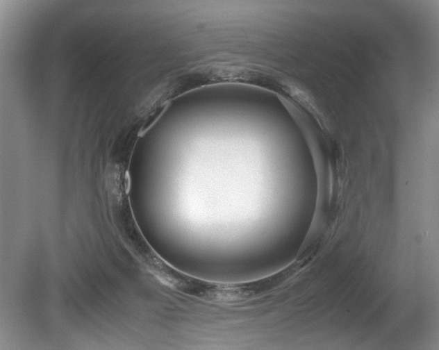 X0000078880121200611131253