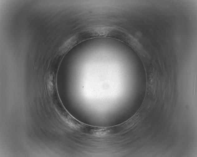 X0000078880122200611131253