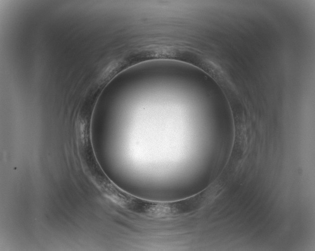 X0000078880123200611131253