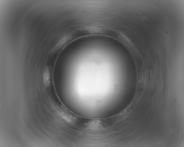 X0000078880124200611131253