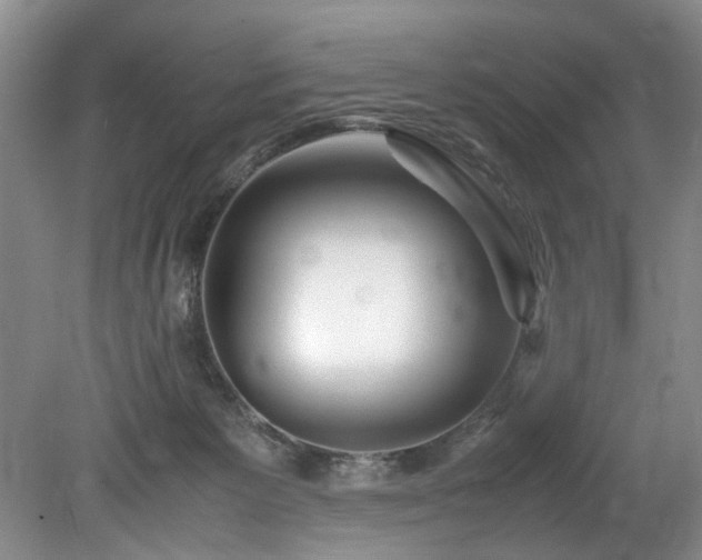 X0000078880125200611131253