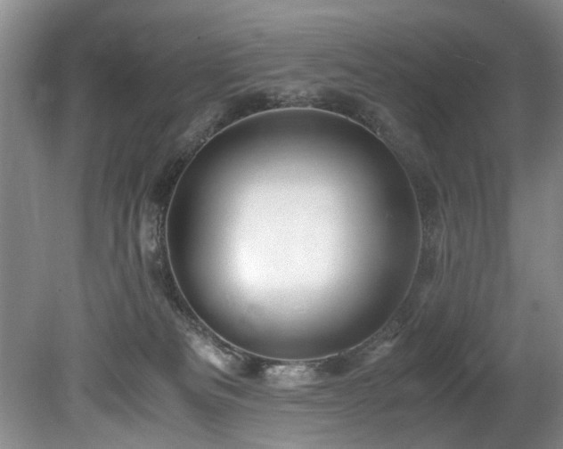 X0000078880133200611131252