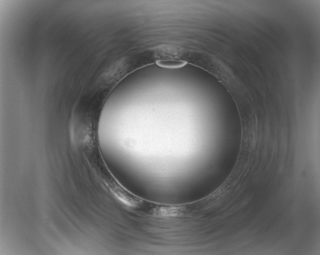X0000078880134200611131252