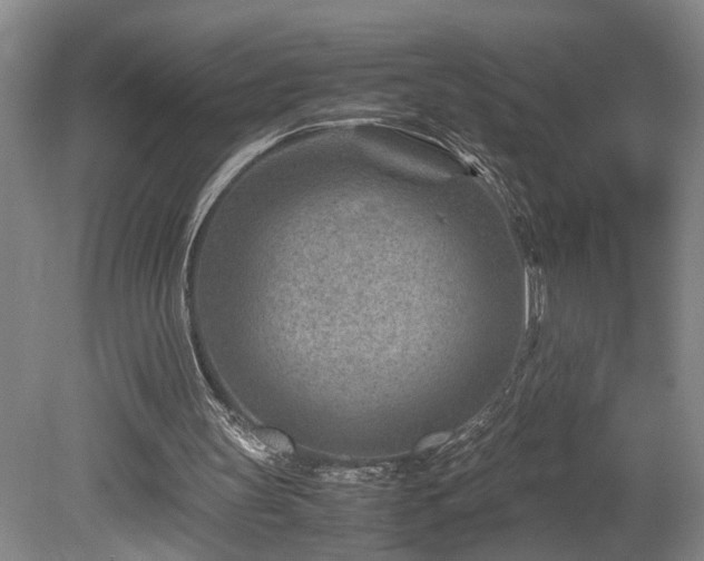 X0000078880147200611131252