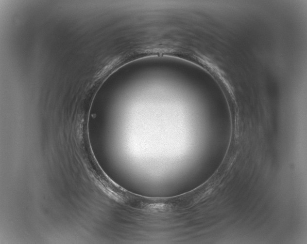 X0000078880153200611131252