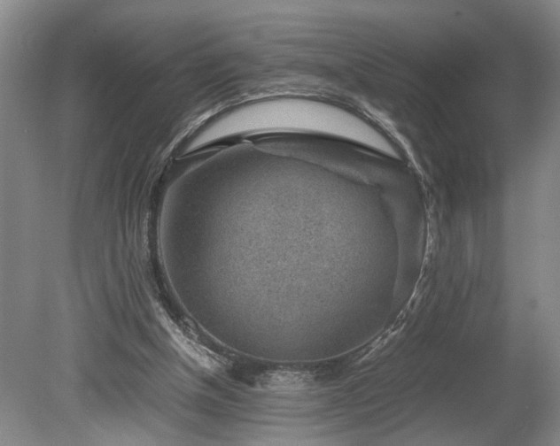 X0000078880154200611131252