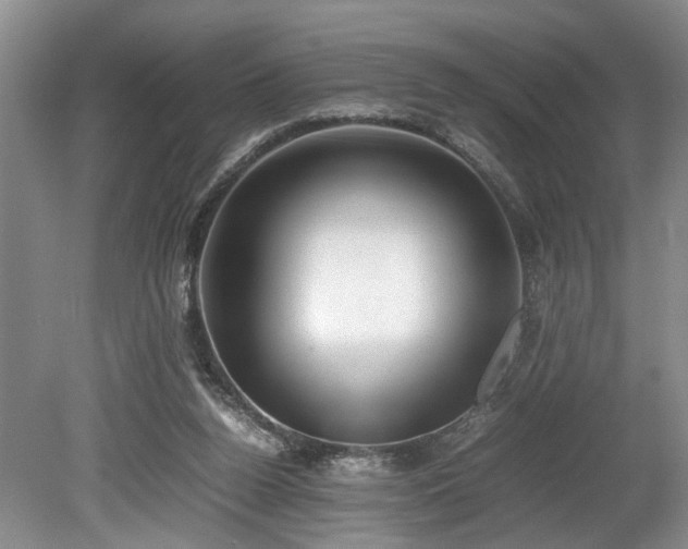 X0000078880160200611131252