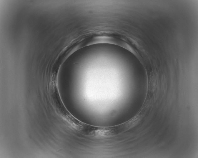 X0000078880172200611131252