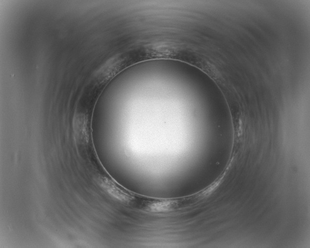 X0000078880178200611131252