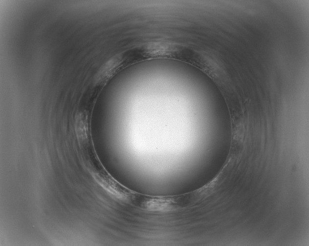 X0000078880179200611131252