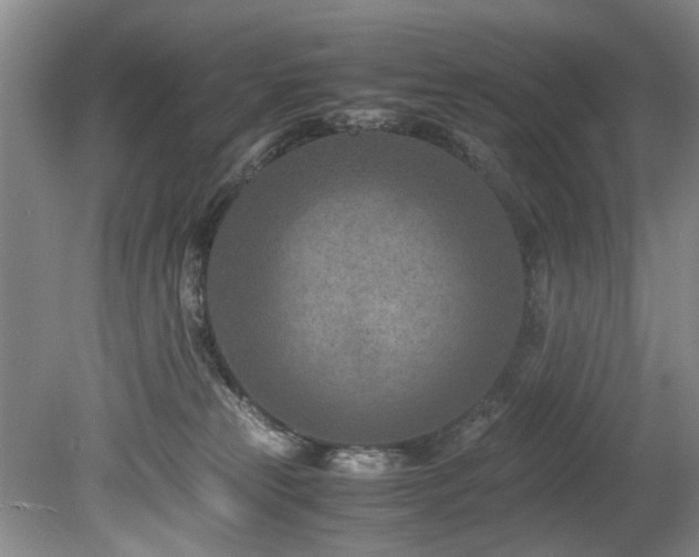 X0000078880181200611131252