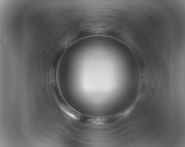 X0000078880182200611131252