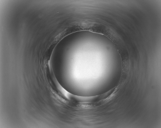 X0000078880184200611131252