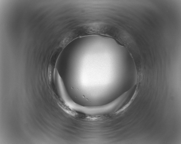X0000078880186200611131252