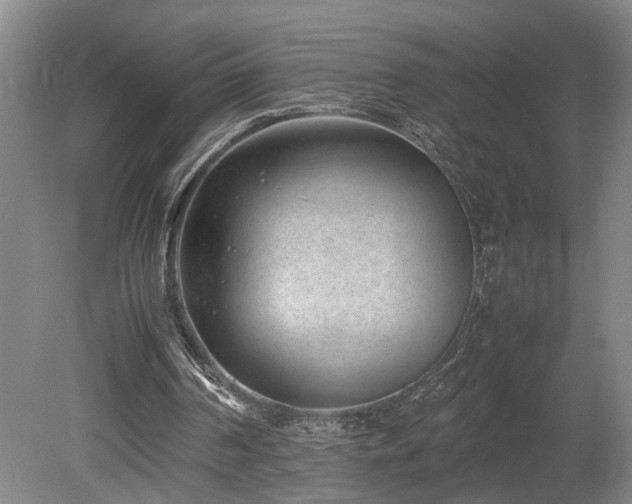 X0000078880194200611131251