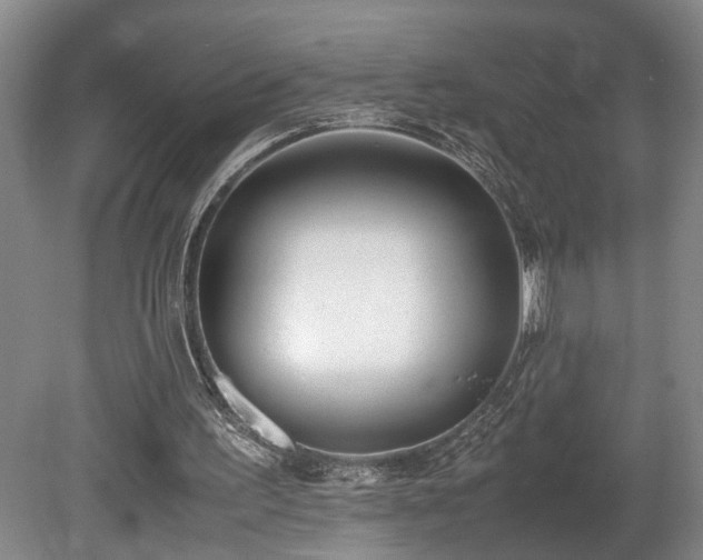 X0000078880195200611131251