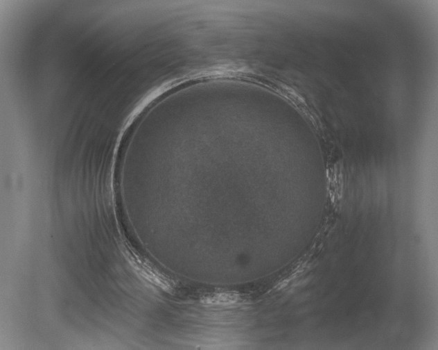 X0000078880196200611131251