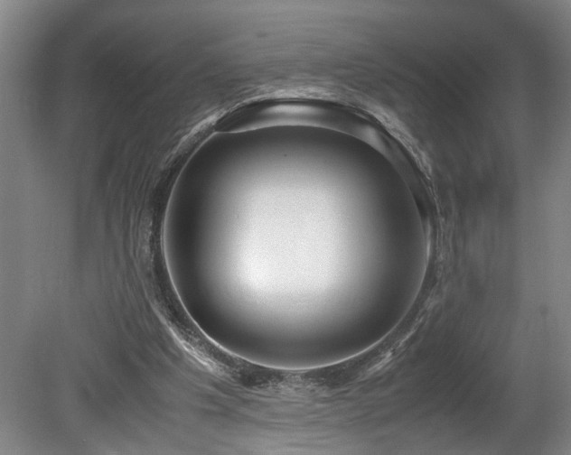 X0000078880201200611131251