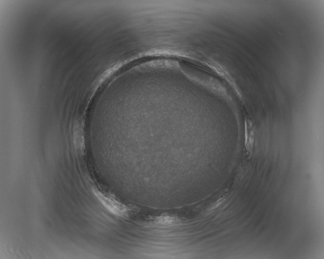 X0000078880204200611131251