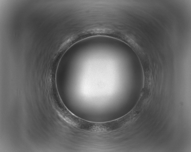 X0000078880207200611131251