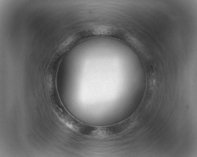 X0000078880211200611131251