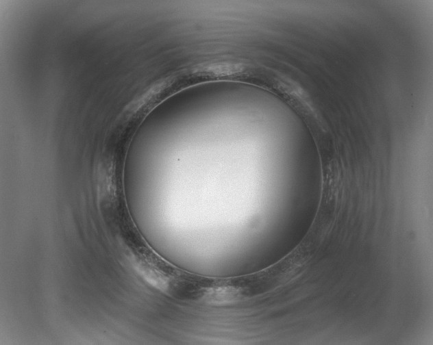X0000078880212200611131251