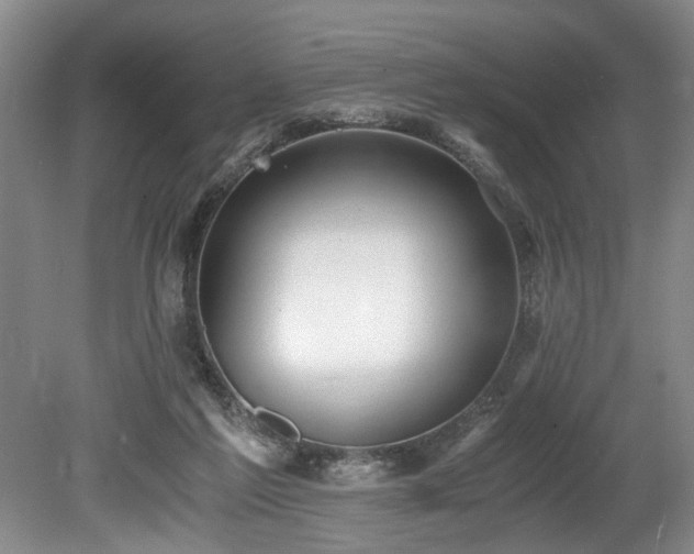 X0000078880213200611131251