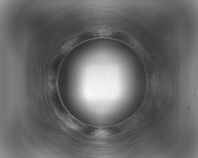 X0000078880218200611131251