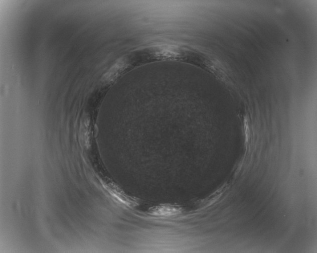 X0000078880223200611131251