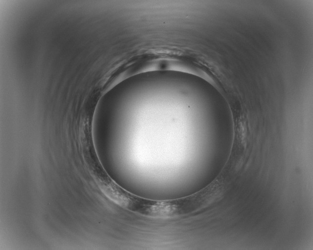 X0000078880225200611131251