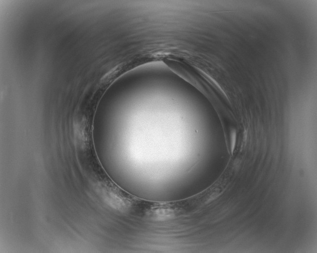 X0000078880228200611131251