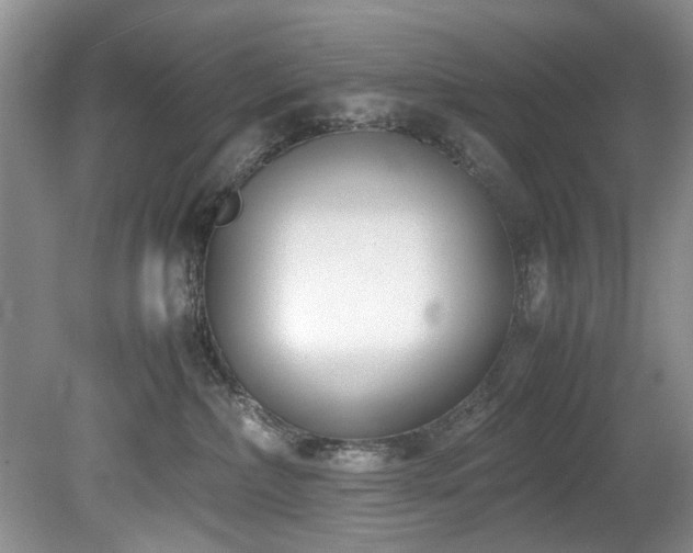 X0000078880236200611131251